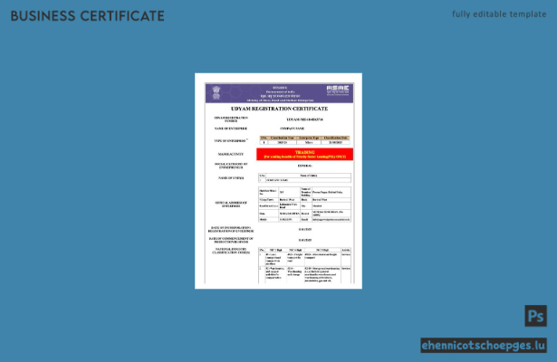 India Udyam Registrierungszertifikat (Word und PDF), Version 3 – Beispielvorschau